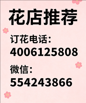 邯郸鸡泽县花店哪家好