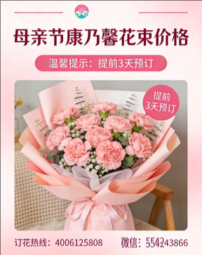 邯郸鸡泽县花店母亲节康乃馨花束