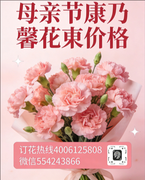 邯郸鸡泽县花店母亲节康乃馨花束